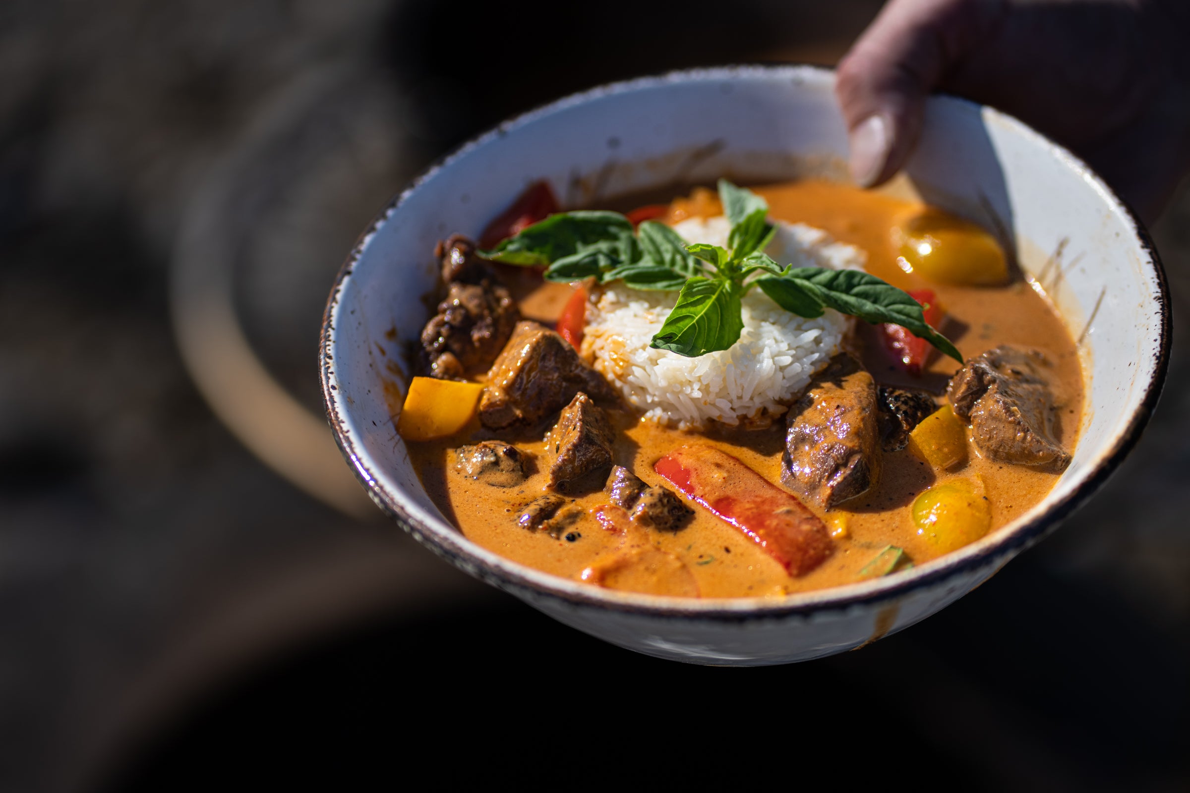 Wild Duck Thai Red Curry – LiveWildSpiceco